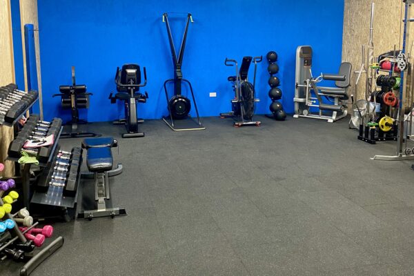 treadmill, weights, boxing bag, chair, dumbbells, ski erg, assault bike