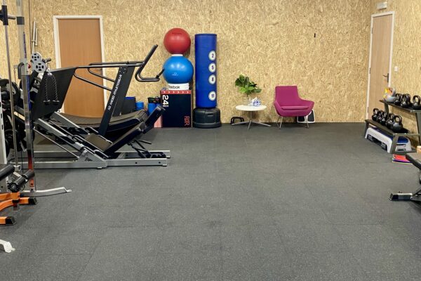 treadmill, weights, boxing bag, chair, dumbbells