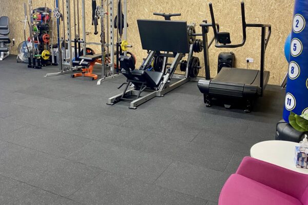 treadmill, weights, boxing bag, chair, dumbbells